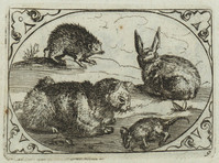 TvB G 4425
          <br/>
          Twaalf afbeeldingen met dieren
          <br/>
          <em>Staker, Heinrich (??)</em>